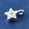 925 Sterling Silver Cubic Zirconia Charms STER-Q005-01B-A-2