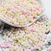 Macaron Color Opaque Frosted Glass Seed Beads SEED-K009-12B-13-1