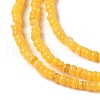 Natural Freshwater Shell Beads Strands SHEL-P017-01B-06-3