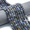 Natural Dumortierite Beads Strands G-P575-A48-8x5mm-1