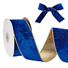Polyester Velvet Wired Ribbon SRIB-WH0072-04C-1