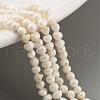 Natural Cultured Freshwater Pearl Beads Strands PEAR-C003-25-1