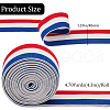 Gorgecraft 4.7 Yards Flat Nylon Striped Elastic Band OCOR-GF0003-84C-2