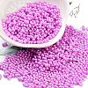Opaque Colours Glass Seed Beads SEED-A033-06I-1