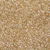MIYUKI Round Rocailles Beads X-SEED-G008-RR0161-3