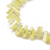 Electroplate Glass Beads Strands EGLA-S176-05A-B13-3
