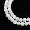 Natural Cultured Freshwater Shell Beads Strands BSHE-H109-03B-4