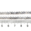 Natural Rainbow Moonstone Beads Strands G-R475-025D-4