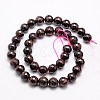 Natural Garnet Beads Strands G-G542-10mm-21-01-2