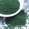 MIYUKI Round Rocailles Beads X-SEED-G007-RR2048-1