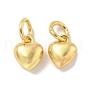 Rack Plating Brass Pendants KK-L075-012G-02-1