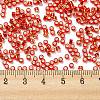 Glass Seed Beads X1-SEED-S042-04A-10-4