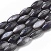 Natural Freshwater Shell Beads SHEL-R047-02-3