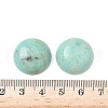 Natural African Turquoise(Jasper) Cabochons G-A265-01C-3