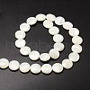 Natural Trochid Shell/Trochus Shell Beads Strands SSHEL-K016-02-2