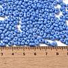 Baking Paint Glass Seed Beads SEED-K009-01A-19-4