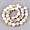 Natural Freshwater Shell Beads Strands SSHEL-N040-15-2