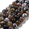 Faceted Natural Fire Crackle Agate Beads Strands G-F447-12mm-N08-2