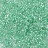 8/0 Glass Seed Beads SEED-A015-3mm-2219-2