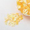 Ornament Accessories Plastic Paillette/Sequins Beads PVC-E001-13-RC02-1