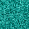 Frosted Colours Glass Seed Beads PW-WG88870-18-1