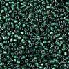 TOHO Round Seed Beads SEED-XTR08-0270F-2