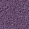 MIYUKI Delica Beads SEED-JP0008-DB1173-3