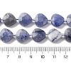 Natural Blue Aventurine(Dyed & Heated) Beads Strands G-P570-E08-02-5