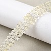 Watermelon Stone Glass Beads Strands G-L621-B08-4mm-1