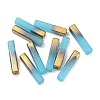 Electroplate Glass Beads GLAA-D024-02E-2
