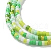 Handmade Czech Lampwork Beads Strands LAMP-L078-008-4