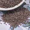 MIYUKI Delica Beads SEED-X0054-DB1749-4