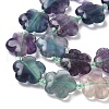 Natural Flower Rainbow Fluorite Beads Strands G-L241B-09-01-3