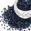 Glass Bugle Beads X-SEED-S032-13A-604-1
