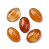 Natural Carnelian Cabochons G-K348-06-1
