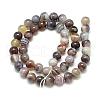 Natural Botswana Agate Beads Strands G-S150-24-6mm-2