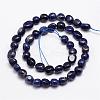 Natural Sodalite Bead Strands G-L459-28-2