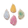 Natural Agate Slices Big Pendants PALLOY-JF01633-02-1