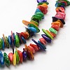 Dyed Chip Natural Freshwater Shell Beads Strands SHEL-E355-16-2
