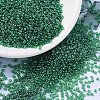 MIYUKI Round Rocailles Beads SEED-G007-RR0173-4