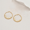 Stainless Steel Hoop Earrings MZ8679-2-1