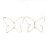 Brass Dangle Earrings EJEW-H106-01G-1