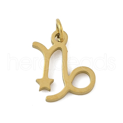 304 Stainless Steel Pendants STAS-U058-01G-10-1
