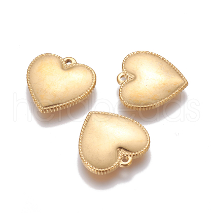 304 Stainless Steel Pendants STAS-G191-02G-1