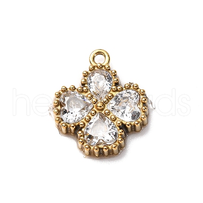 304 Stainless Steel Pendants STAS-D361-03G-01-1