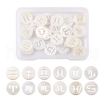 Kissitty 24Pcs 12 Style Natural Freshwater Shell Charms SHEL-KS0001-04-1