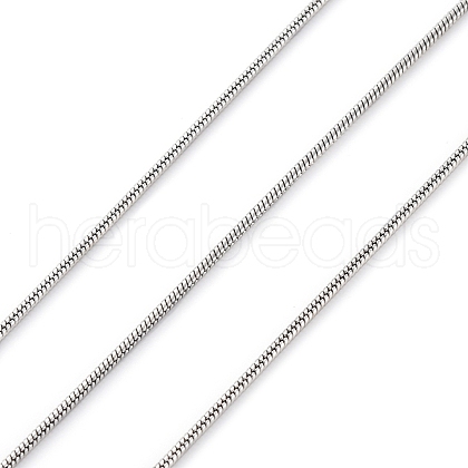 304 Stainless Steel Round Snake Chains CHS-M009-01P-01A-1