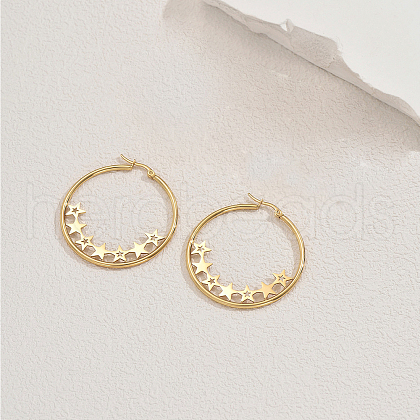 Stainless Steel Hoop Earrings MZ8679-2-1