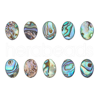 FIBLOOM 10Pcs Natural Paua Shell Beads SSHEL-FI0001-04-1
