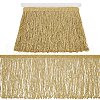 Fingerinspire Polyester Tassel Lace Ribbon OCOR-FG0002-45A-1
